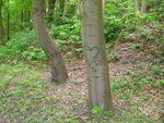Bild 003.jpg Bild 003.jpg