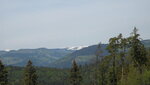 IMG_5423.JPG