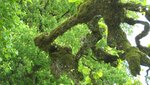 IMG_5554.jpg