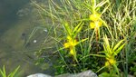 IMG_5586.jpg