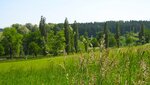 IMG_5608.jpg