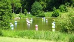 IMG_5601.jpg