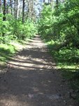 IMGP0312.jpg
