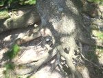 IMGP0316.jpg