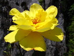 27. Mai 2012 006.JPG