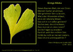 Gingko biloba Goethe.jpg