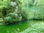 Fels im Wasser 3.jpg