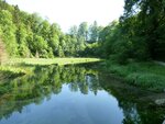 Natur pur 1a.JPG