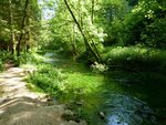 Natur pur 3.jpg