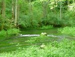 Natur pur 4.jpg