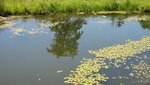 IMG_5755.jpg
