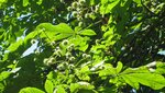 IMG_5758.jpg