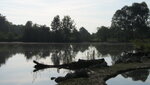 IMG_5898.JPG
