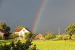 IMG_3724_800x533.JPG