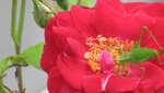 IMG_5963.JPG