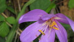 IMG_6266.JPG