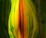 IMG_0359.JPG