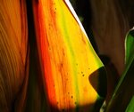 IMG_0357.JPG