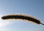 IMG_0248.JPG