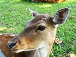 IMG_0341.jpg