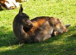 IMG_0352.jpg