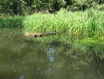 IMG_3049.jpg