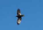 IMG_0475.JPG
