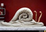 schnecke_im_bett.jpg schnecke_im_bett.jpg