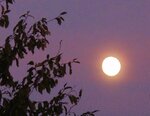 IMG_0544.JPG