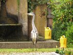 IMG_0592.jpg