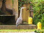 IMG_0596.jpg