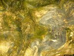 STA_6357.jpg