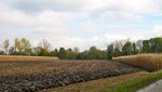 IMG_6578.jpg