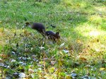 IMG_0925.JPG