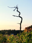 CIMG0689.JPG