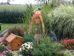 vogelscheuche1.jpg vogelscheuche1.jpg