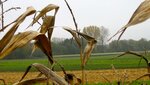IMG_6640.jpg