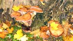 IMG_6642.jpg