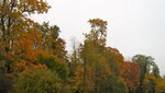 IMG_6646.jpg