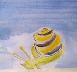 schnecke_100_1243.jpg schnecke_100_1243.jpg