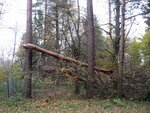IMG_4762.jpg