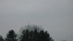 IMG_6730.JPG