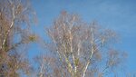IMG_6814.jpg