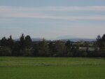 IMG_4703.jpg