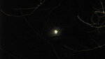 IMG_6815.JPG