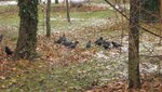IMG_6823.jpg