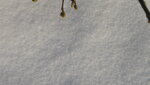 IMG_6883.JPG