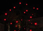 IMG_1314.JPG