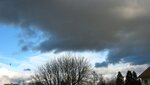 IMG_6925.jpg