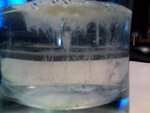 candida speicheltest.jpg